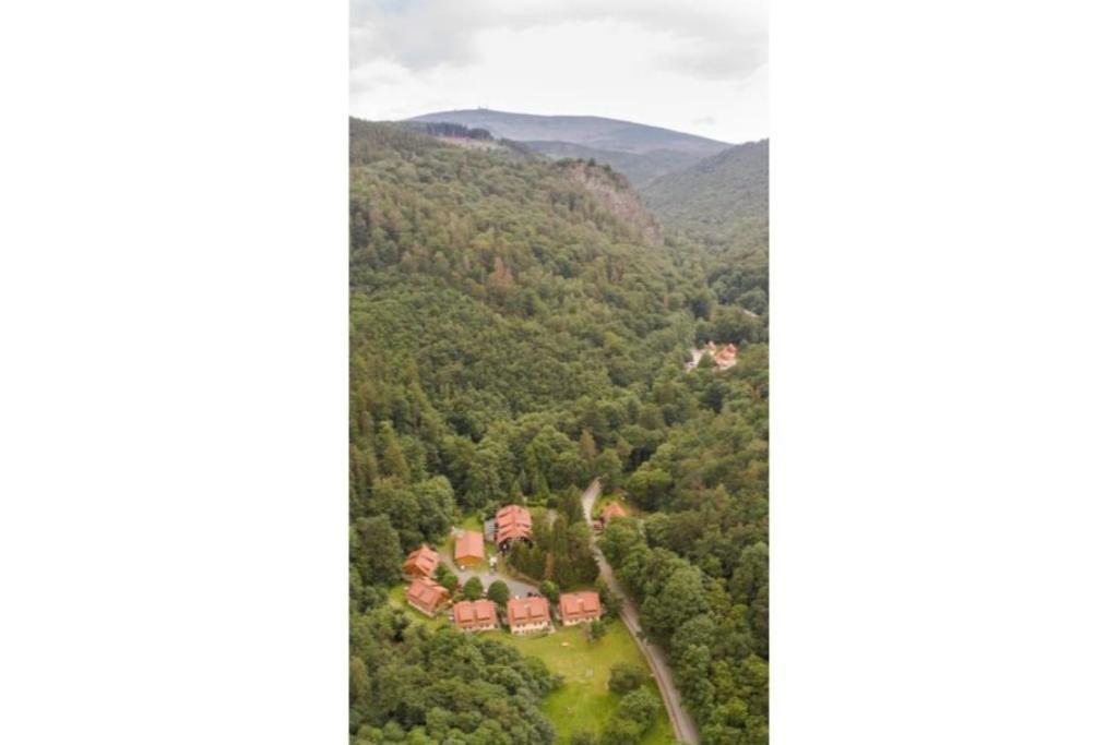 Ferienwohnung Forsthaus Am Brocken, 55 Qm, 2 Schlafzimmer F7 Ilsenburg Exteriör bild